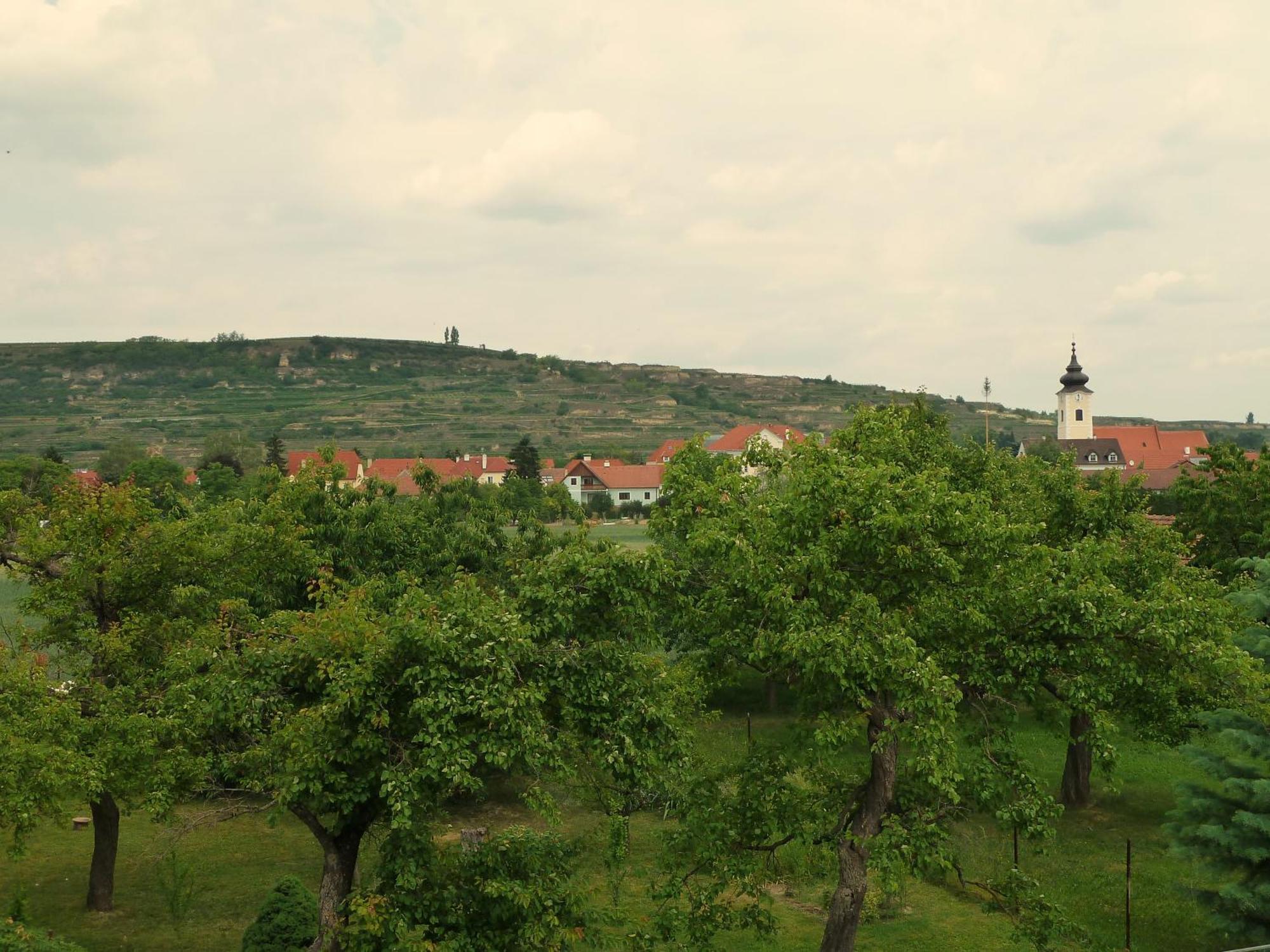 Ferienwohnung Weinbergblick Rohrendorf bei Krems ภายนอก รูปภาพ
