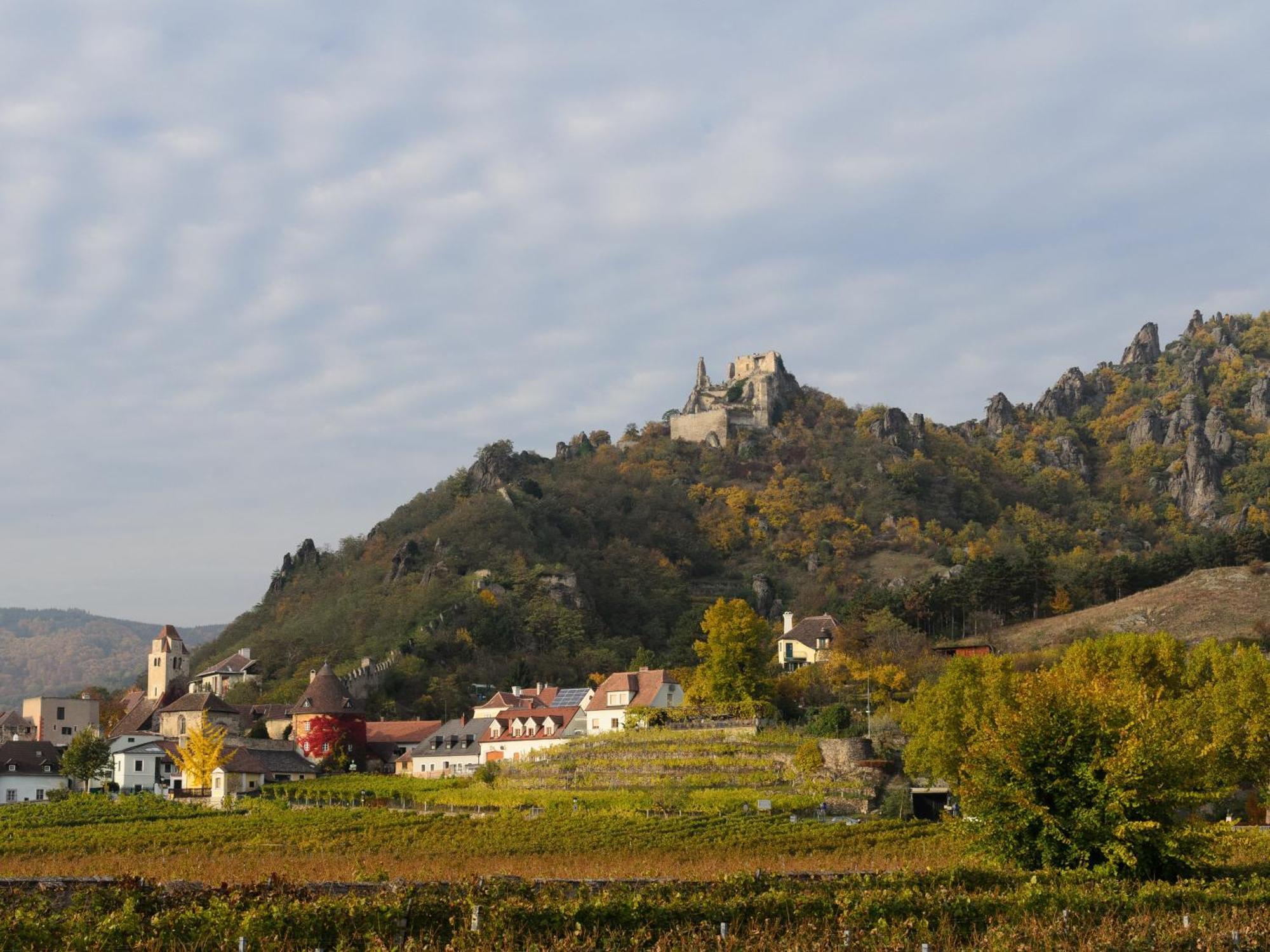 Ferienwohnung Weinbergblick Rohrendorf bei Krems ภายนอก รูปภาพ