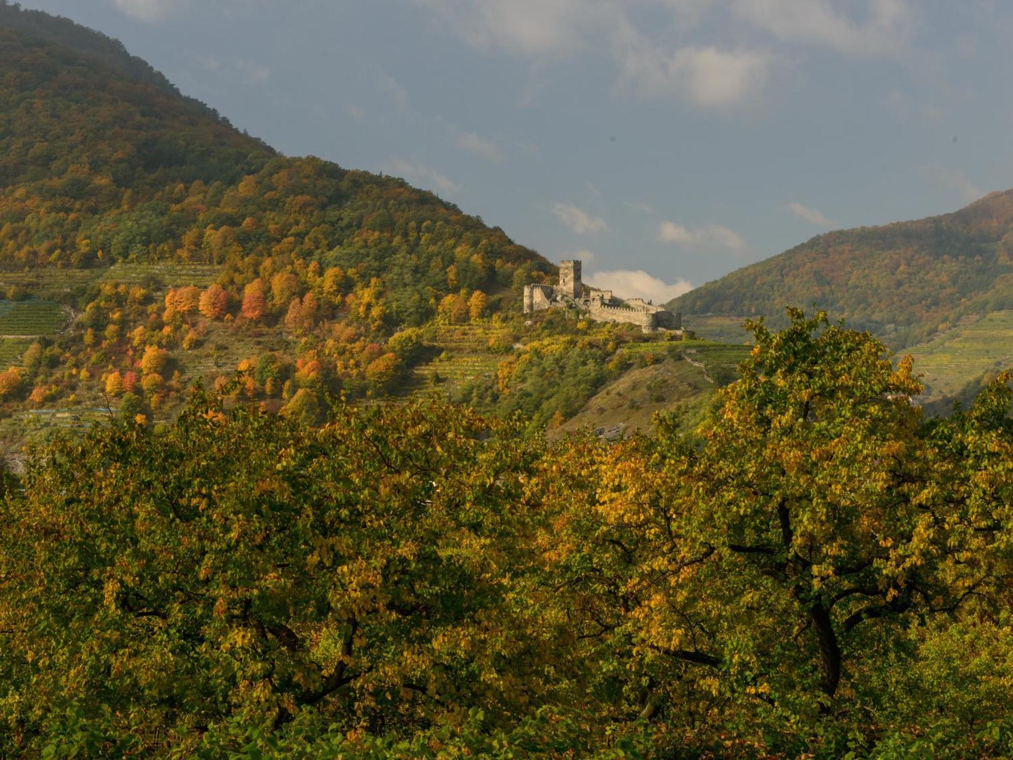 Ferienwohnung Weinbergblick Rohrendorf bei Krems ภายนอก รูปภาพ