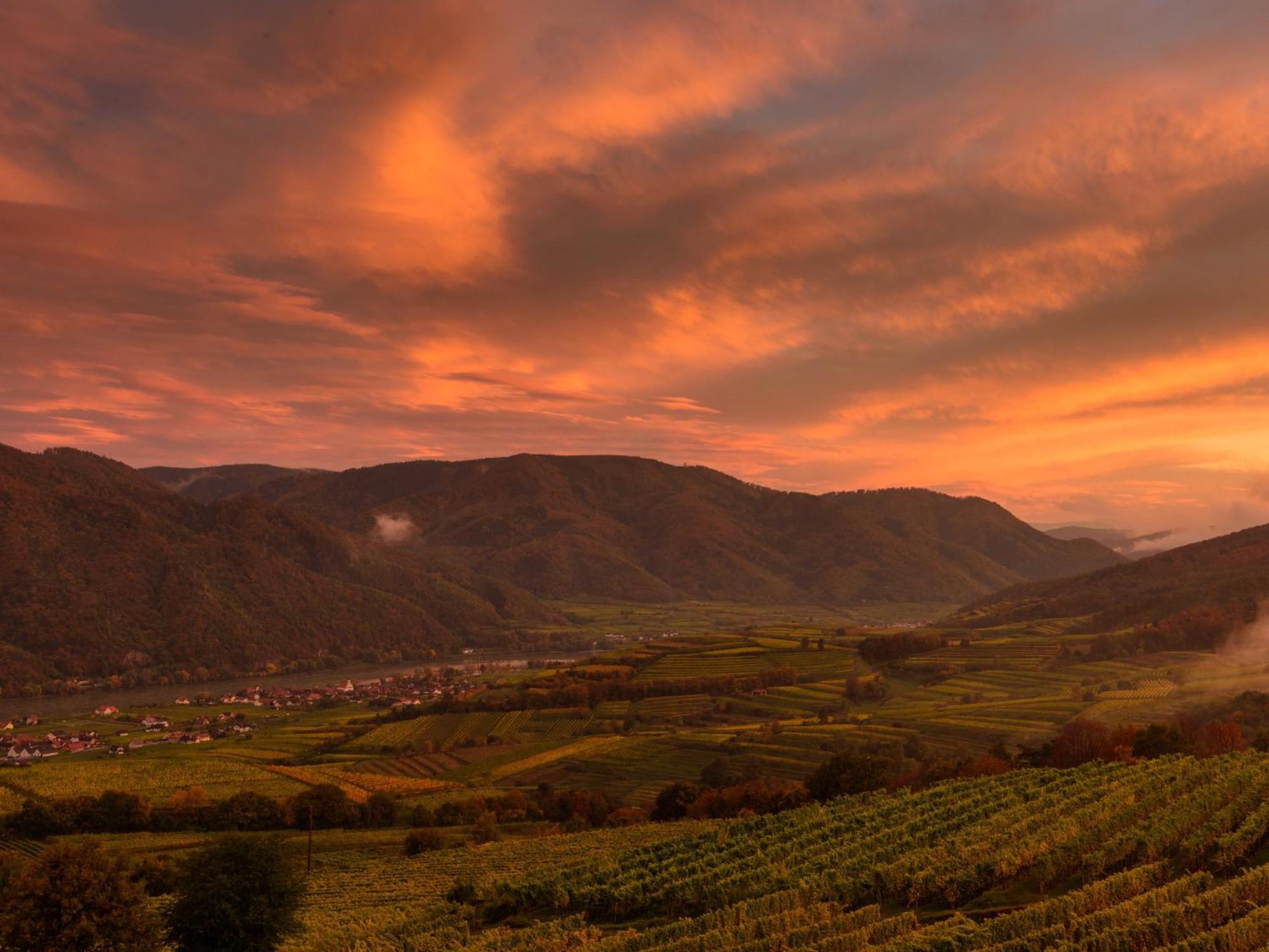 Ferienwohnung Weinbergblick Rohrendorf bei Krems ภายนอก รูปภาพ