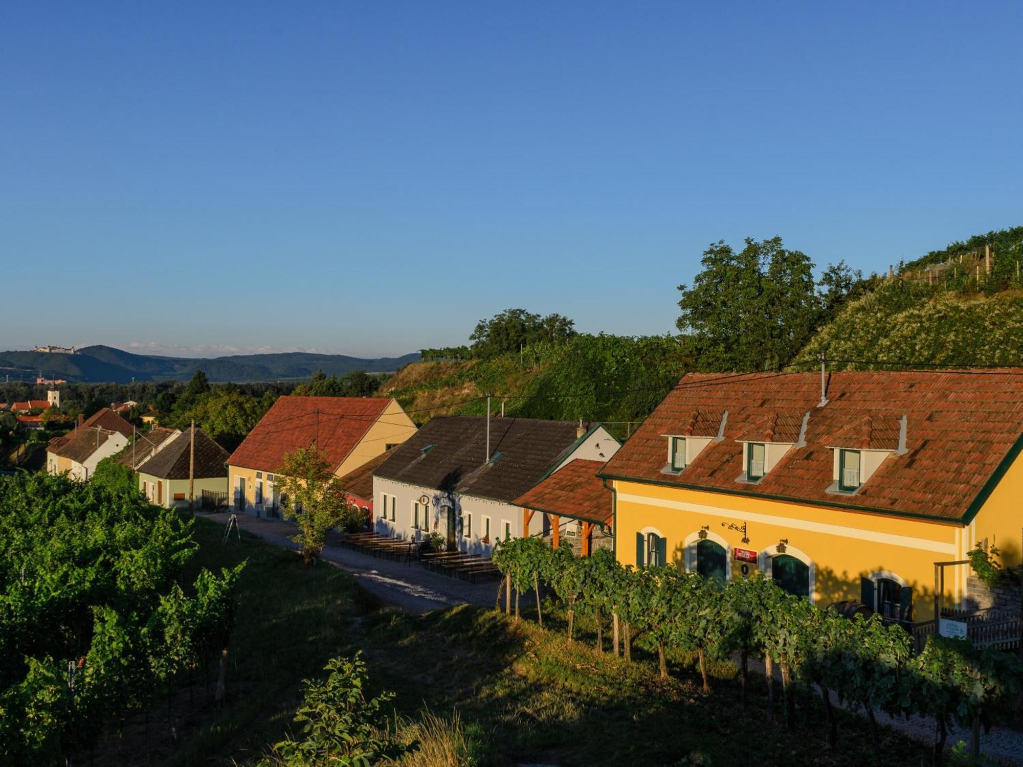 Ferienwohnung Weinbergblick Rohrendorf bei Krems ภายนอก รูปภาพ