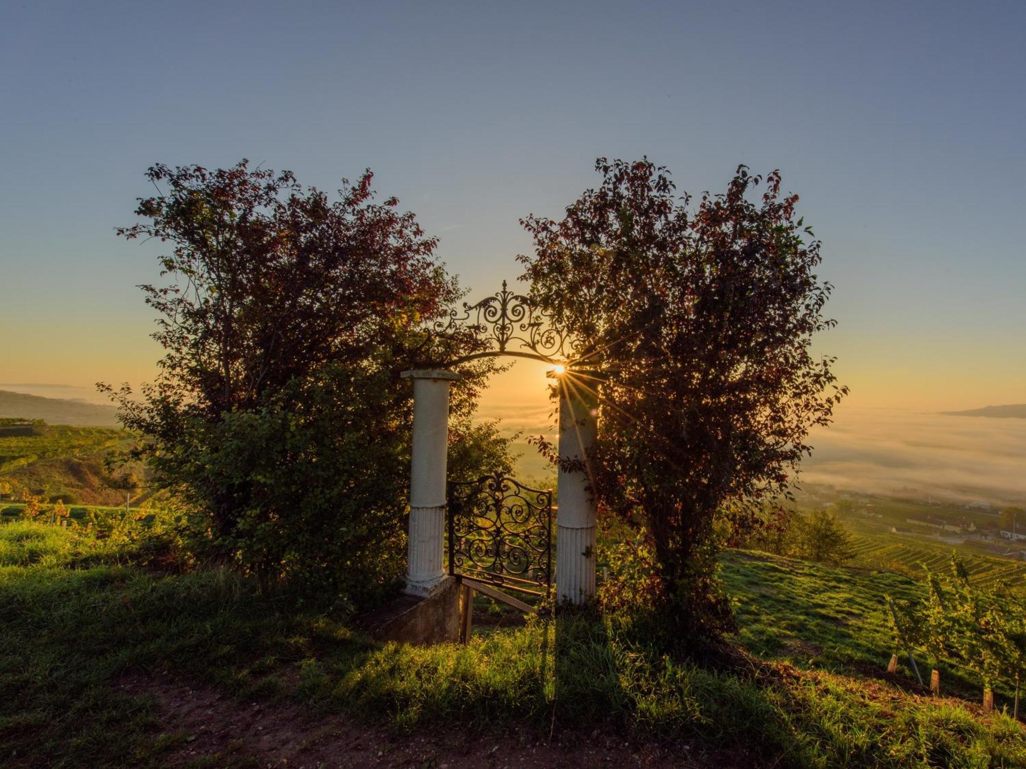 Ferienwohnung Weinbergblick Rohrendorf bei Krems ภายนอก รูปภาพ